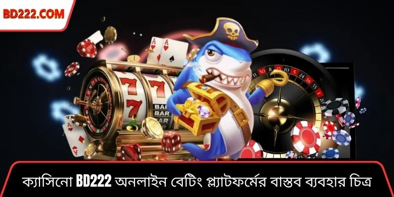 ক্যাসিনো Bd222 অনলাইন বেটিং প্ল্যাটফর্মের বাস্তব ব্যবহার চিত্র
