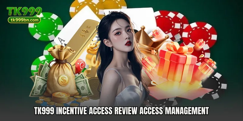 TK999 Incentive Access Review access management